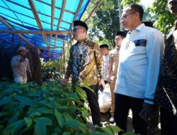 Ini yang Dirasakan Sejumlah Petani di Polman saat Terima Bantuan dari Gubernur Suhardi Duka