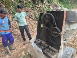 Molen Seberat 300 Kg di Desa Kaleok Digasak Maling