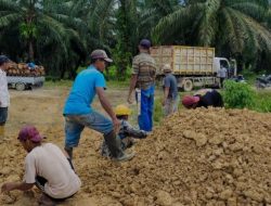 PT.Mamuang Jakarta Diduga Caplok Lahan Perkebunan Warga di Pasangkayu