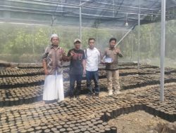 Dukung Peremajaan Kakao dan Ketersediaan Benih di Sulbar, Disbun Identifikasi Kebun Masyarakat di Tiga Kabupaten