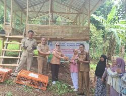 Distapang Sulbar Salurkan Bantuan Ayam KUB dan Sarana Pendukung di Kelurahan Bebanga