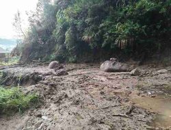 BPBD Sulbar Terima Laporan Tanah Longsor di Ruas Jalan Poros Nasional Mamasa – Tabang