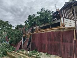 Pusdalops BPBD Sulbar Terima Laporan Kejadian Pohon Tumbang di Mamasa