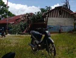 Pusdalops BPBD Sulbar Terima Laporan Kejadian Pohon Tumbang di Mamasa*BPBD Sulbar Koordinasikan Penanganan Pohon Tumbang yang Timpa Sekolah di Mamasa BPBD Sulbar Pastikan Penanganan Cepat Pohon Tumbang di Mamasa