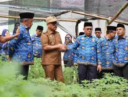 Gubernur Sulbar Tinjau Pembibitan Komoditas Pangan Dinas Ketapang, Siap Dibagikan ke Masyarakat