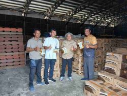 Kadis Ketapang Sulbar Tinjau Gudang Bulog Polman, Persiapan Penyaluran Bantuan Pangan Pemerintah