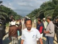 Kemenhut Tindaklanjuti Surat Permohonan Rekontruksi Pemasangan Patok Tata Batas Lahan PT.Mamuang Pasangkayu