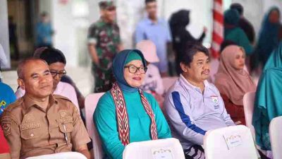 Plt Kepala Dinas Kesehatan Sulbar : PKK Miliki Kontribusi Penting dalam Pembangunan Kesehatan Masyarakat