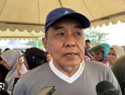 Kepala Dinas Ketahanan Pangan Sulbar: Harga Telur Ayam Masih Stabil di Bawah HPP dan Stok Aman