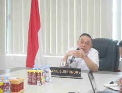 Anggaran Minim, Wagub Sulbar: Program Penanganan Stunting dan Kemiskinan Diprioritaskan