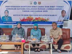 Distapang Sulbar Salurkan Bantuan Bibit Cabai Keriting, Bibit Cabai Rawit dan Bibit Tomat di 4 Kelurahan Kabupaten Mamuju