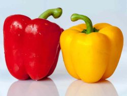 Paprika: Sayuran Warna-warni Kaya Gizi dan Manfaat untuk Tubuh