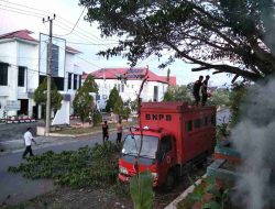 Regu 4 Posko Siaga Darurat BPBD Sulbar Pangkas Pohon di Area Posko untuk Keselamatan