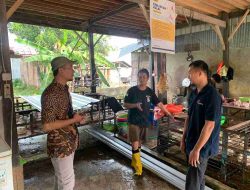 Jelang Nataru, Dinas TPHP Sulbar Bersama PT. CIOMAS Pantau Ketersediaan Bahan Pangan Asal Hewan di Pasar Baru Mamuju