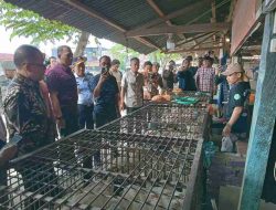 Gubernur Suhardi Duka Pantau Stok Pangan Jelang Nataru 2025-2026