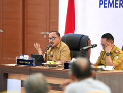 Gubernur Sulbar Paparkan Pelajaran dari Tiongkok: Peran Negara Kuat, Kolaborasi, dan Fondasi Pertanian Modern