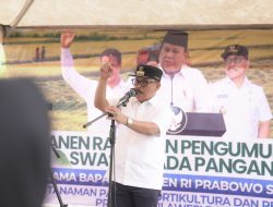 Sulbar Surplus Hampir 70 Ribu Ton Beras, Gubernur SDK Apresiasi Program Pangan Nasional
