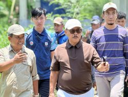 Dinas TPHP Sulbar Sukses Tingkatkan Kelahiran Sapi melalui Program IB di Era SDK–JSM