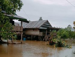 Terima Laporan Kejadian Banjir di Mamuju Tengah, BPBD Sulbar Instruksikan Penanganan Cepat, Tepat dan Terkoordinasi