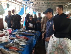 Wujudkan Ikan Sehat dan Berkualitas, Pemprov Sulbar Edukasi Pedagang PPI Binanga Lawan Zat Kimia Berbahaya