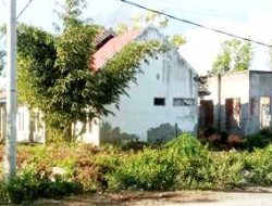 Sudah 14 Tahun Bangunan Rumah Dosen Unsulbar Terbengkalai