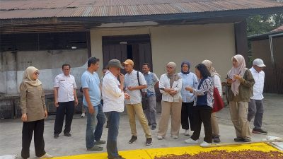 Disbun Sulbar Dampingi Tim Bappenas Kunjungan Lapangan ke Sentra Produksi dan Pengolahan Kakao di Polewali Mandar