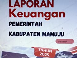 BPK Temukan Kesalahan Penganggaran Rp.5,441 Miliar di Dua OPD Pemkab Mamuju
