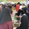 Gerakan Pangan Murah Hadirkan Ikan Segar Bersubsidi, DKP Sulbar Dorong Akses Pangan Berkualitas untuk Masyarakat Mamuju