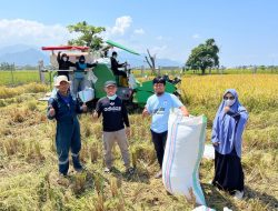 UPTD BBTPH Panen Calon Benih Padi Genja, Dukung Kemandirian Pangan Sulbar