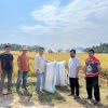 UPTD BBTPH Provinsi Sulawesi Barat Persiapkan Calon Benih Padi untuk Pertanaman Pasca El Nino