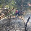 Damkar Sulbar Bersama Tim Gabungan Padamkan Kebakaran Lahan yang Ancam Pemukiman Warga di Rangas, 2 Hektar Terbakar