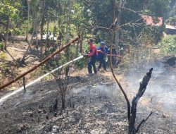 Damkar Sulbar Bersama Tim Gabungan Padamkan Kebakaran Lahan yang Ancam Pemukiman Warga di Rangas, 2 Hektar Terbakar