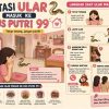 Ular Masuk Rumah? Jangan Panik, Ini Cara Aman Mengusir dan Mencegahnya Kembali