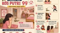 Ular Masuk Rumah? Jangan Panik, Ini Cara Aman Mengusir dan Mencegahnya Kembali