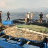 Dari Laut Karampuang, Ada Cerita Tentang Potensi Perikanan yang Menjanjikan